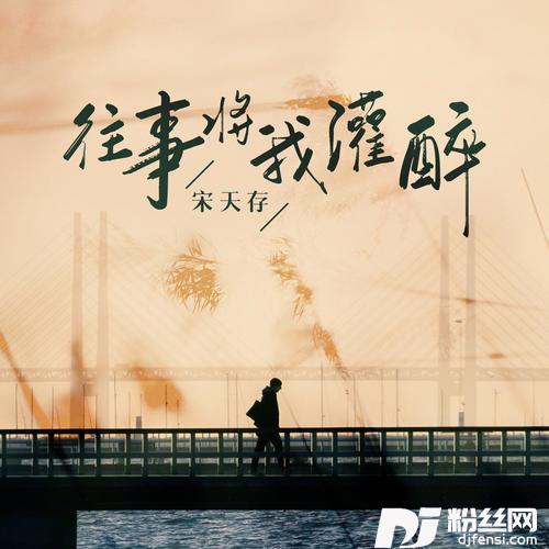 往事将我灌醉
