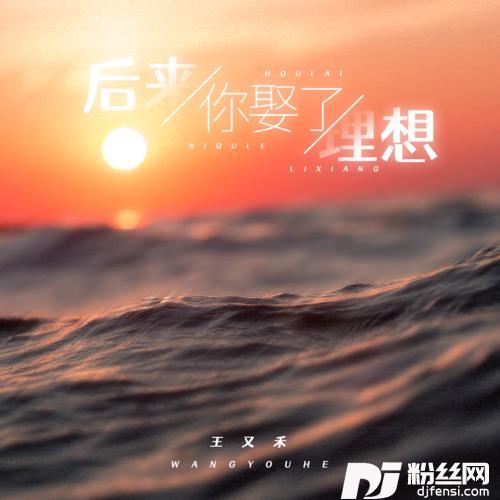 后来你娶了理想