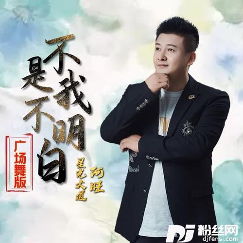 不是我不明白dj伟然版