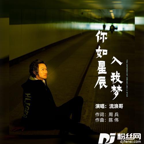 你如星辰入我梦
