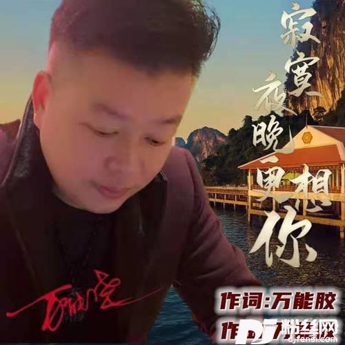 寂寞夜晚更想你