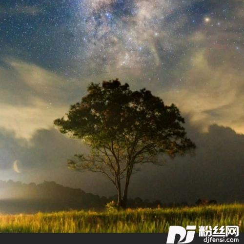 千千阙歌cover:张国荣的专辑