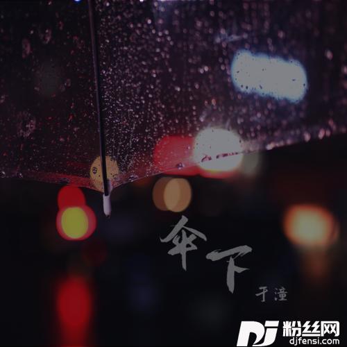 伞下的专辑