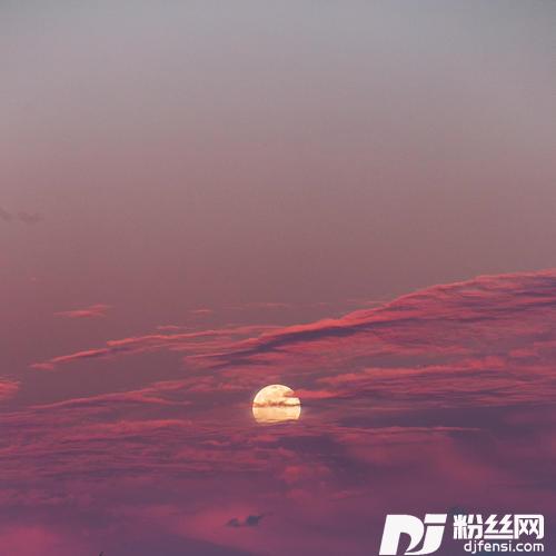泡沫DJ杨树人版的专辑