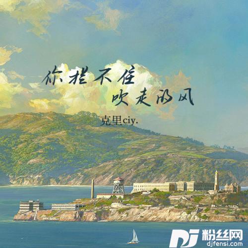 你拦不住吹走的风的专辑