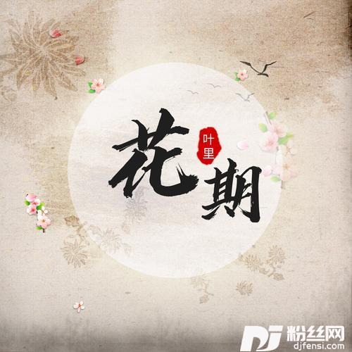 花期DJheap九天版