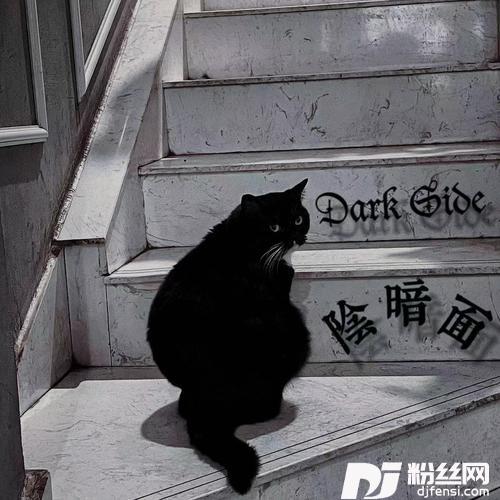 最美的纪念的专辑