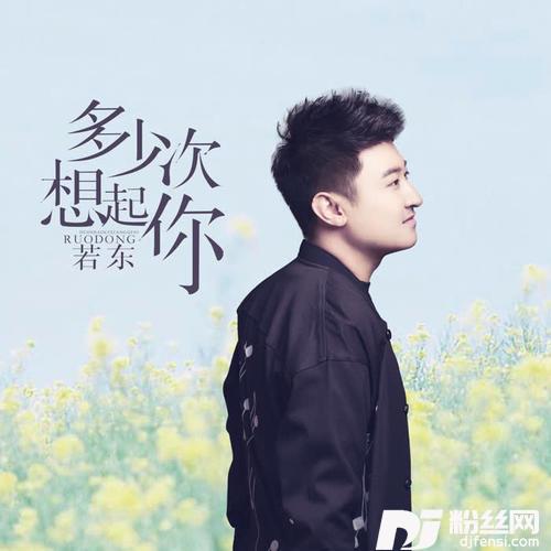多少次想起你