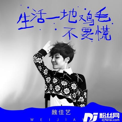 生活一地鸡毛不要慌DJ默涵版的专辑