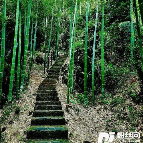 希望之路的专辑