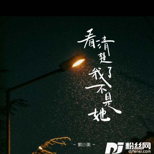 看清楚了我不是她的专辑