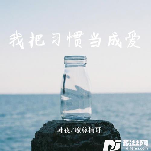 我把习惯当成爱