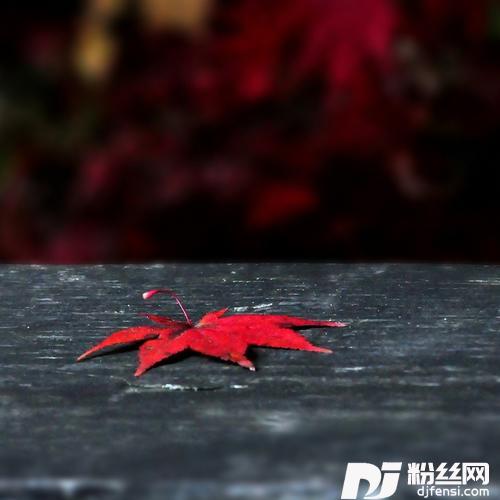到了这个年纪的人（DJ何鹍版）的专辑
