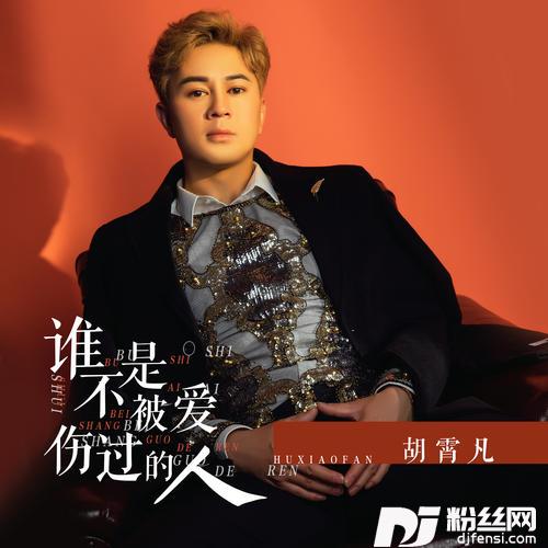 谁不是被爱伤过的人DJ版