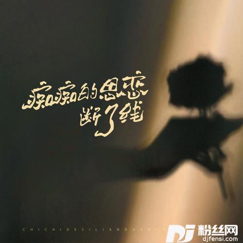 痴痴的思念断了线（DJ小鑫版）