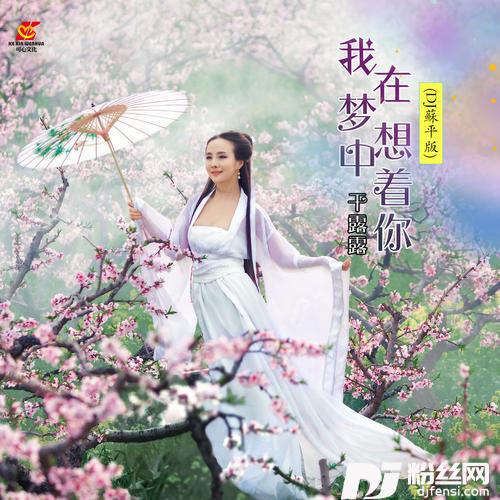 我在梦中想着你DJ苏平版