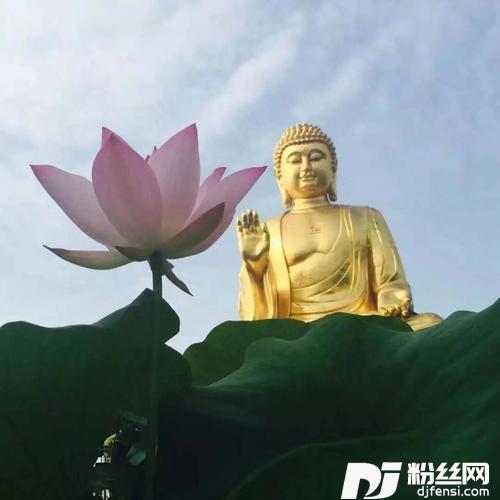 我是菩萨的一只手（华岩义工之歌）