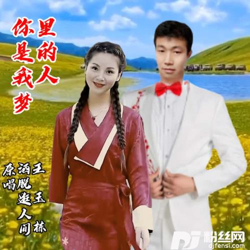 你是我梦里的人cover:苏星河