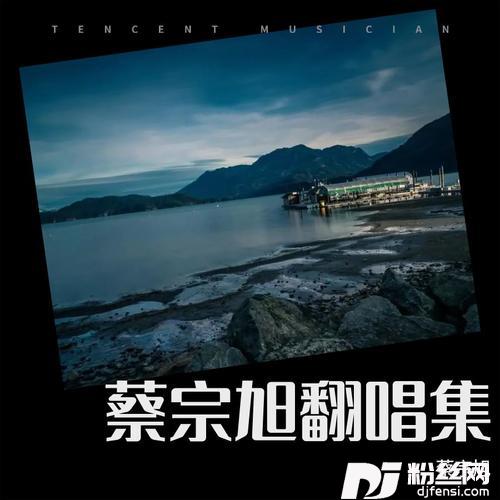 大城小爱cover:王力宏的专辑