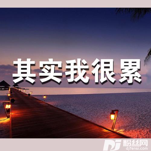你的欺骗原版