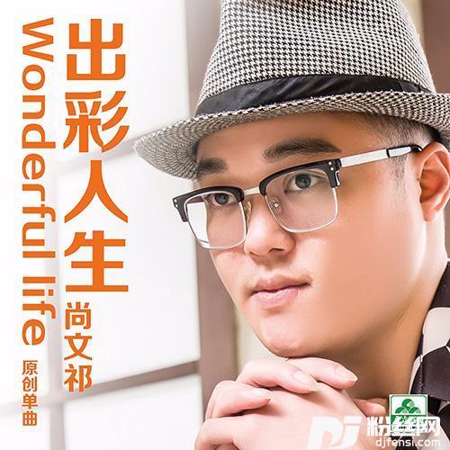 出彩人生DJ版