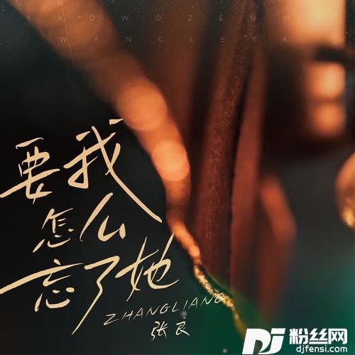 要我怎么忘了她