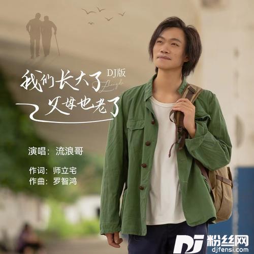 我们长大了父母也老了（DJ默涵版）