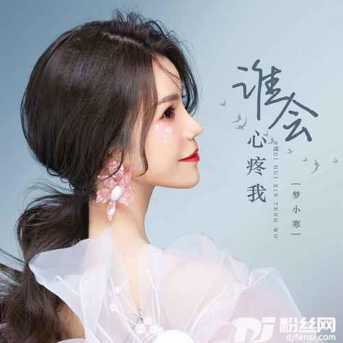 谁会心疼我DJ版的专辑