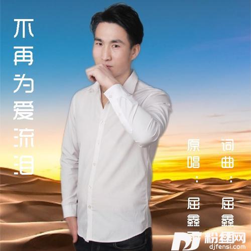 不再为爱流泪的专辑