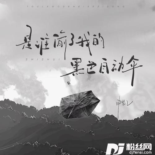 是谁偷了我的黑色自动伞DJ版Remix