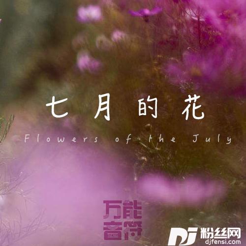 七月的花