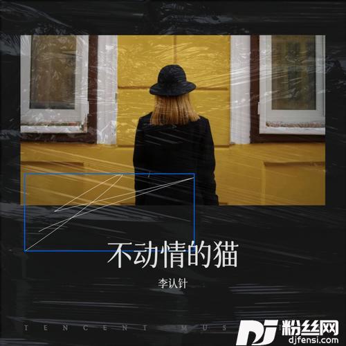 不动情的猫
