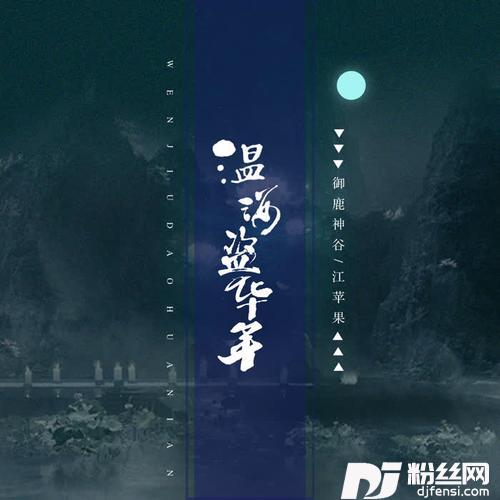 温酒盗华年