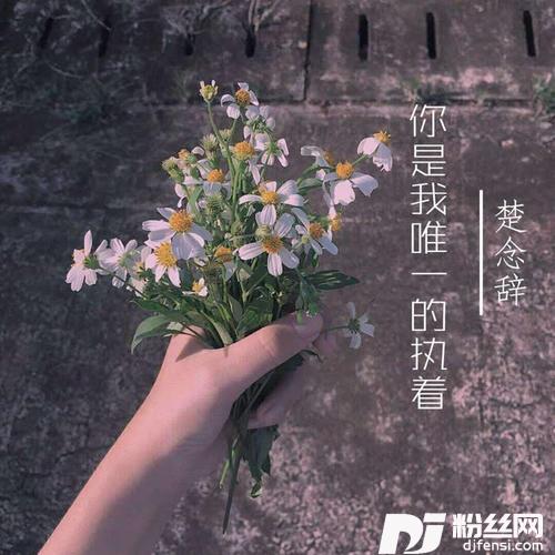 一笑江湖DJ版的专辑