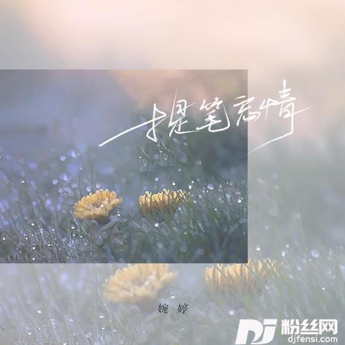 提笔忘情DJ伟伟版