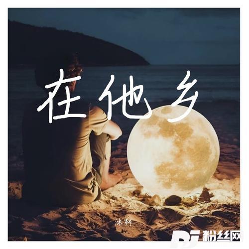在他乡女声DJ版cover:浪子进的专辑