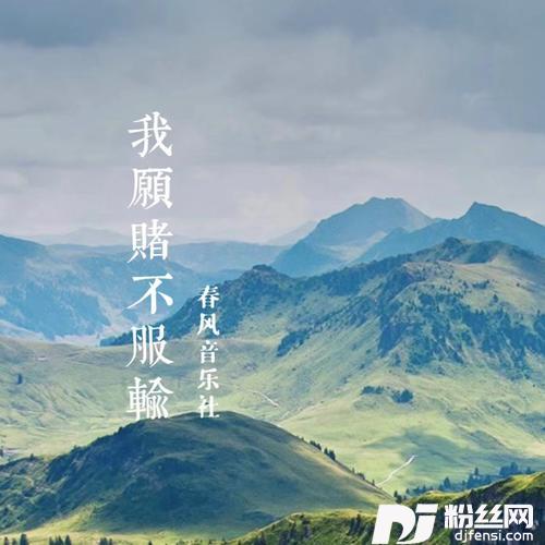 我愿赌不服输