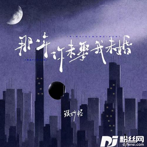 那一年你未娶我未婚