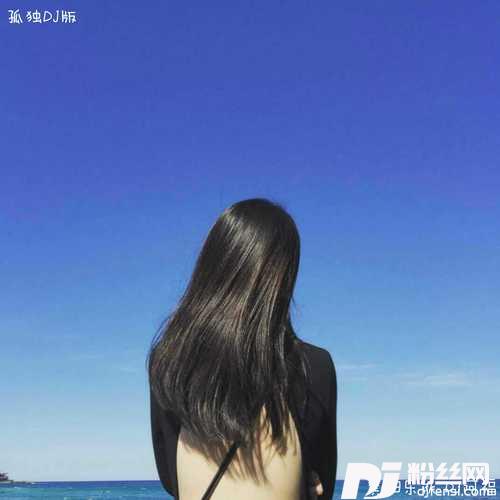 孤独DJ版