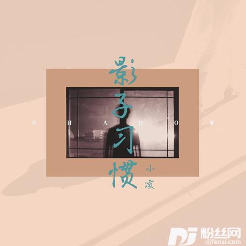 影子习惯