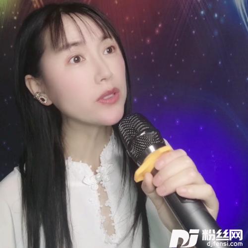 雪落梅香cover:菲儿的专辑