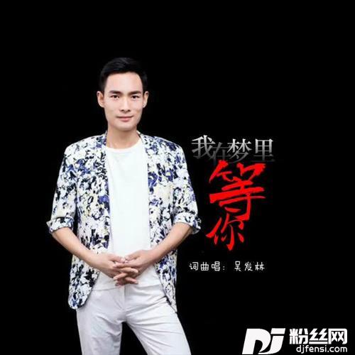 我在梦里等你的专辑