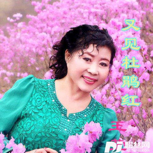 又见杜鹃红的专辑