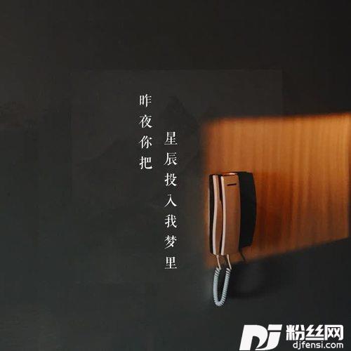 昨夜你把星辰投入我梦里的专辑
