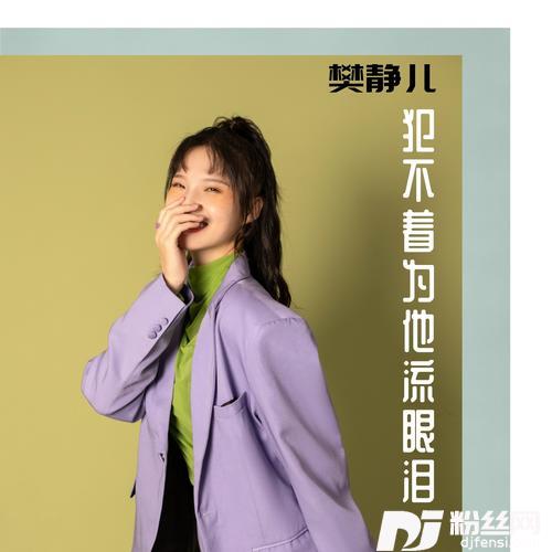犯不着DJ花哨版