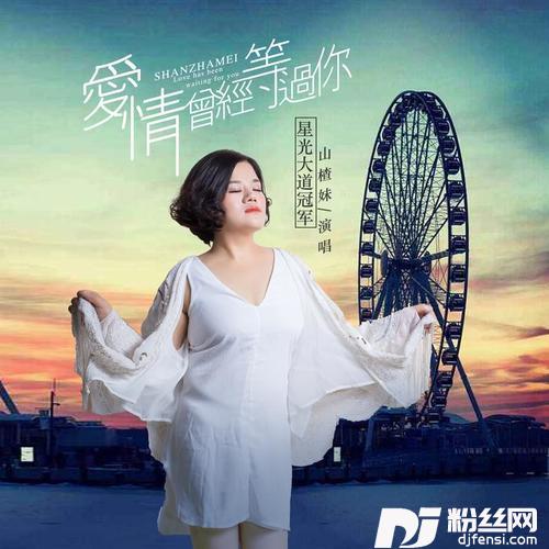 爱情曾经等过你