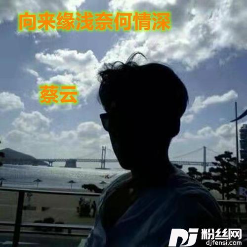 向来缘浅奈何情深的专辑