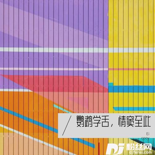 鹦鹉cover:孟凡明