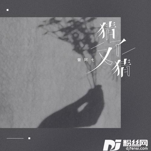 猜了又猜的专辑