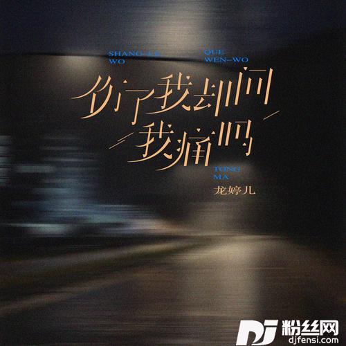 伤了我却问我痛吗